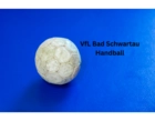 VfL Bad Schwartau Handball